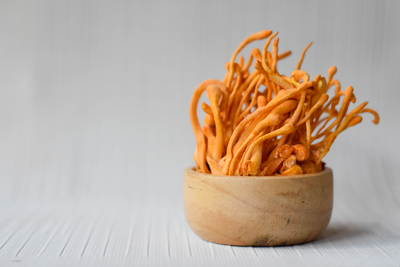 The Benefits of Cordyceps