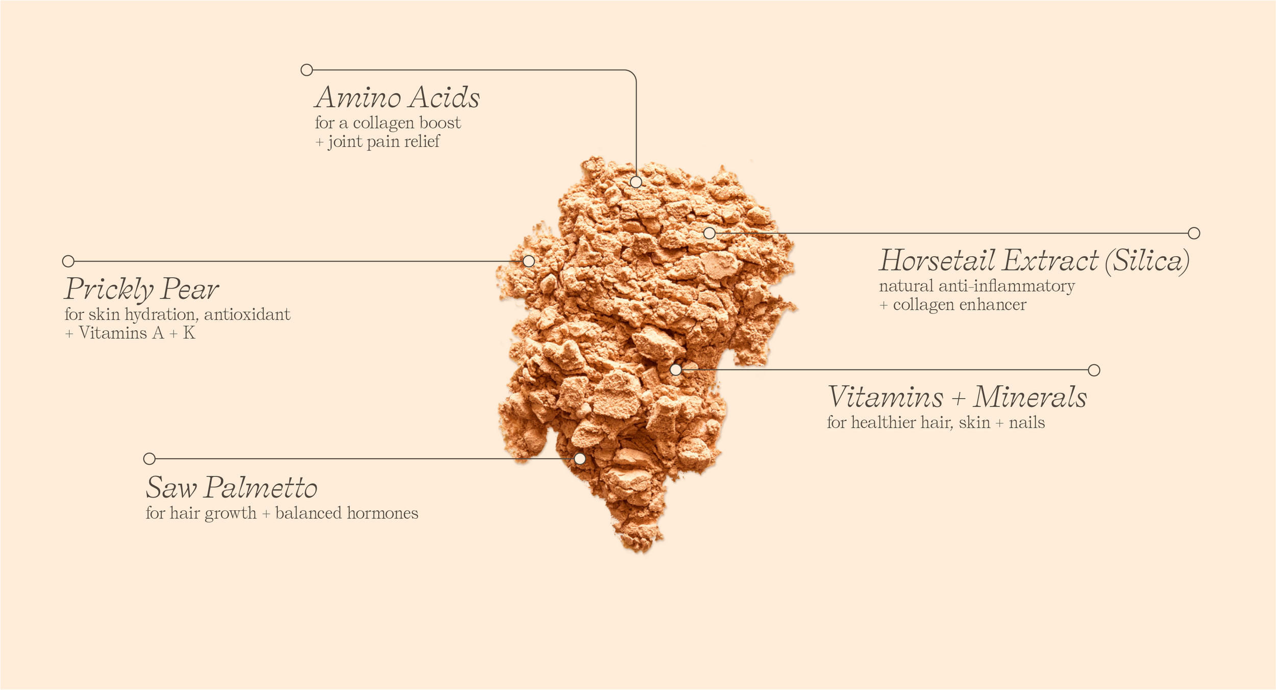 Image of Erba website